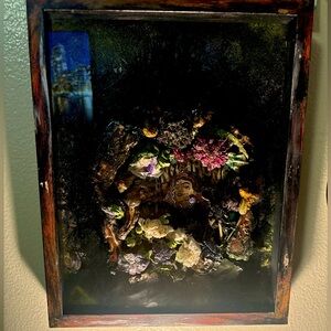 Collage in shadow box